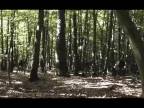 Airsoft - Conflict Zone 2013 : 2. - 4.8.2013 - Trailer