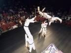 Red Bull Kick It 2013 (taekwondo battle)
