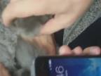 Iphone 5s odomkne aj mačka