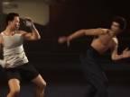 Bojovníkov sen: Donnie Yen vs. Bruce Lee