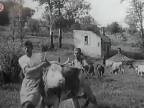 Od Tatier po Azovské more 1941 - 42 (dokument)