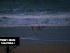 Suchozemci pozorujú tučniaky na Phillip Island