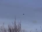 Kutočné UFO s mimozemšťanmi - 06.12.2013