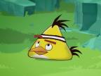 Angry Birds Toons - Chuck Time