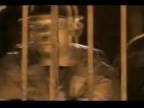 RAEKWON - Incarcerated Scarfaces [Uncensored]