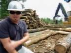 Extrémní dřevorubci - Těžba v bažině