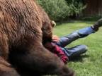 Medveď ktorý má 350 kíl