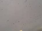 UFO, svetelné objekty sprevádzané preletom vrán 10.2.2014