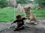 Zvery zo zoo vs. deti