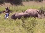Nosorožec zaútočil na turistku
