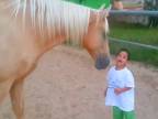 Prvé stretnutie koňa s postihnutým chlapčekom