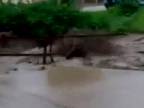 Povodeň v Terchovej - 21. júl 2014