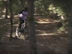 Downhill and Freeride is AWASOME