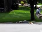Best Fails compilation of the Week 1 August 2014