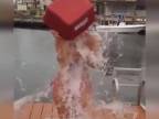 Ice Bucket Challenge Fail Komplicia