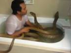 Kúpe sa rád s kobrami