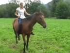 Horsemanship - Aníz a Lola