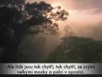 PRALES - Kevin Spacey mluví za pralesy
