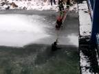 Záchrana psa zo zamrznutej rieky (Poľsko)