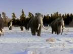 Prechádzky s pravekými zvieratami 6 - Cesta mamutov