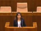 Helena Mezenská hovorí v parlamente