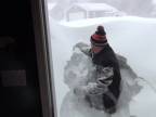 Snehový armagedon (Kanada)