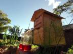 Revolučný vynález pre včelárov - Flow™ Hive