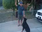 Ako naučiť psa výskok na ruky?