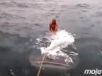 Šialené surfovanie na žralokovi veľrybom (Venezuela)