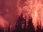 Keď horí les (Kanada)