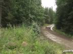 Rally finland 2015 Ogier - letec