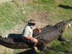 Robert Bredl a jeho 800 kg ťažký krokodíl Brian