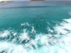 Raj pre delfínov (Austrália)