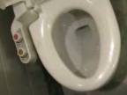 Japonská toaleta