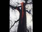Zvláštne horiaci strom (Satan diabol vládne)