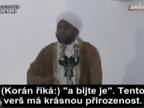 Bití žen je krásné Islám je totalitní ideologie, která je