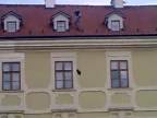 Blázon na streche v centre Bratislavy.