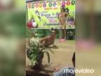 To naj z Miss Gay Pangkawalakan 2016 (Filipíny)