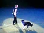 Dogdancing - tancovanie so psom