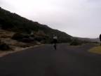 Pštros prevetral cyklistov (Južná Afrika)
