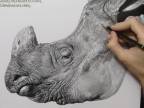 Neuveriteľne realistiská kresba nosorožca