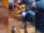 Pouličný muzikant a mačiatka