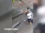 Šokujúci útok pitbulteriéra na muža (Brazília)