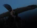 Ukážková poľovačka na kačice