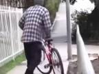 Ako katapultovať zlodejov bicykla
