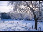 Cinderella -  Long Cold Winter -  D . Videos