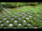 Japanese Garden Meditation. - D.Videos