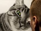 Kresba mačky
