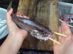 Ako vypitvať rybu pomocou paličiek na jedenie?