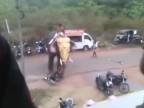 Naštvaný slon poupratoval motorové vozidlá